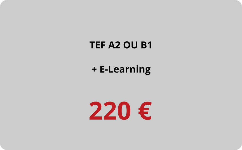 TEF A2 ou B1 + E-Learning